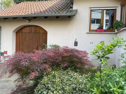 7b954259-f4d4-4ba8-b350-190cbf84d474-1905864674.jp