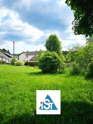 Teil der Wiesenfläche.jpg