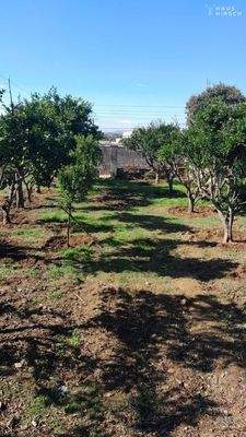 WhatsApp Image 2025-02-24 at 11.01.27