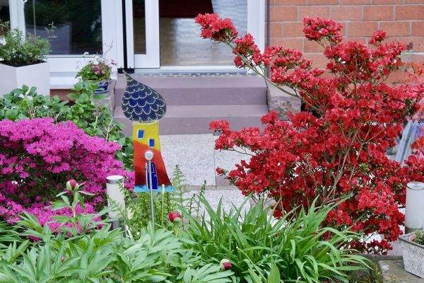 Gartenimpressionen Sommer (6).jpg.jpeg