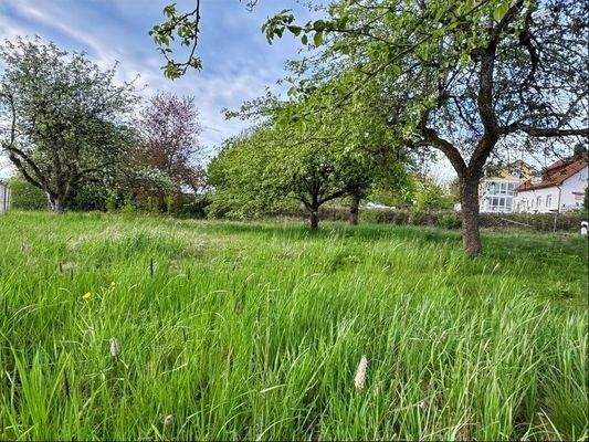 Grundstück/Garten