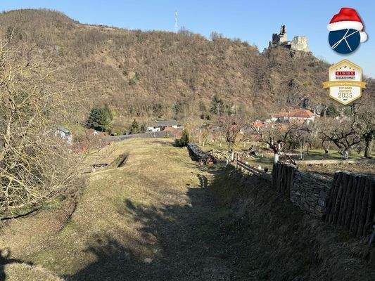 Weitläufiger Naturgarten