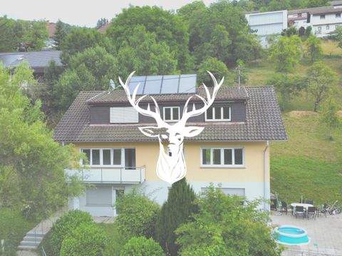 Waldshut-Tiengen Wohnungen, Waldshut-Tiengen Wohnung mieten