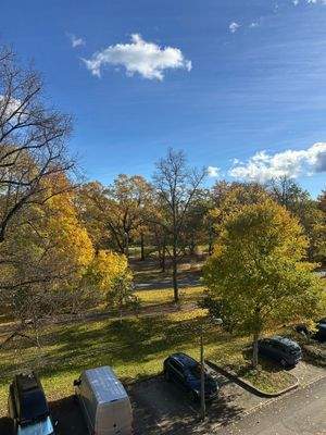 Blick in den Luitpoldhain
