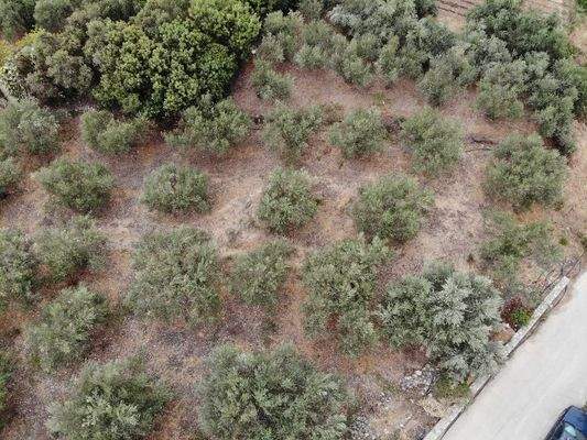 Kreta, Almyrida: Grundstück in Strandnähe mit Meerblick zu verkaufen