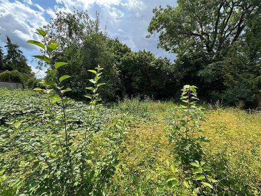 Garten-hinterer-Teil