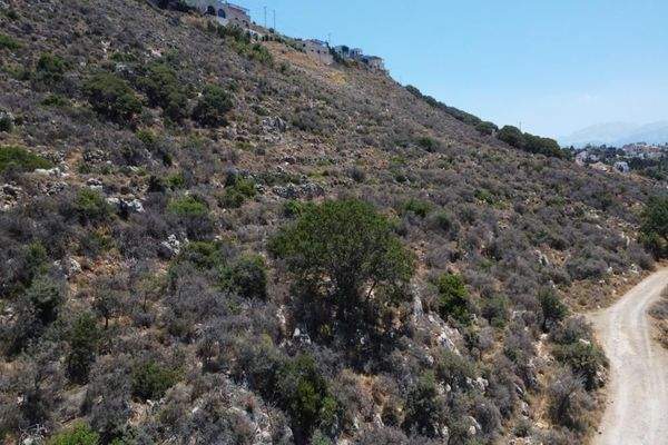 Kreta, Kokkino Chorio: Ruhiges Hanggrundstück mit ewigem Meerblick zu verkaufen