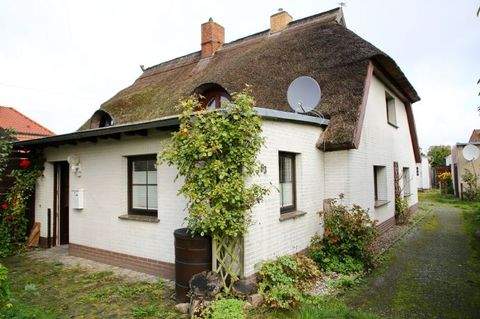 Haus kaufen in Greifswald bei immowelt.de