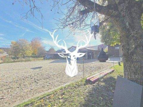 Leibertingen Häuser, Leibertingen Haus kaufen