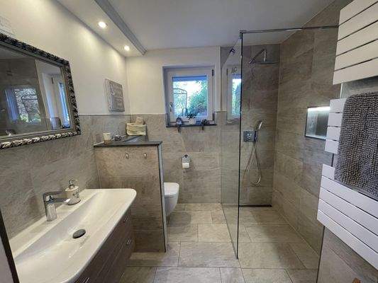 Tageslicht Duschbad EG