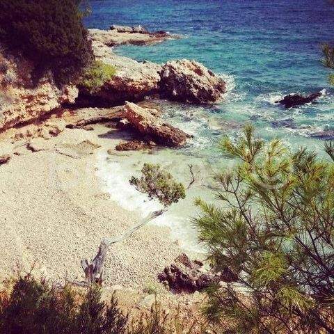 Jelsa Bauernhöfe, Landwirtschaft, Jelsa Forstwirtschaft