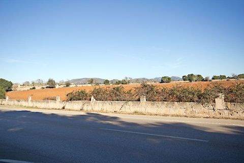 Cala Santanyi Grundstücke, Cala Santanyi Grundstück kaufen