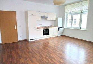 Wohnzimmer mit Küchenzeile