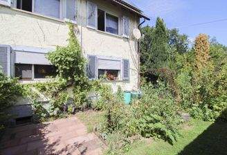 Haus Hinteransicht mit Garten