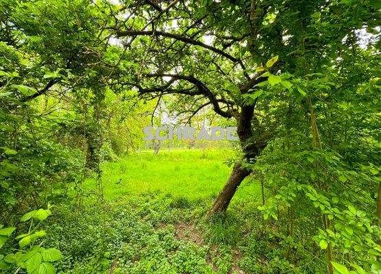 Obstgarten &amp; Co inklusive