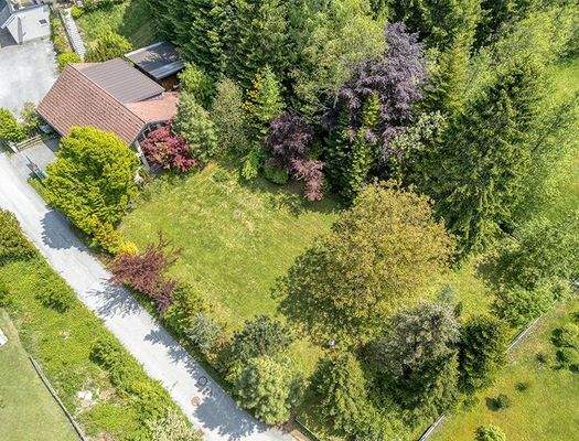 HP1-Grundstück-Ebenau-1