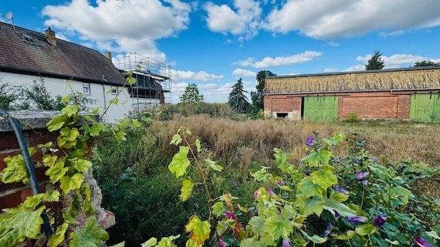 Blick ins Grundstück zur westlichen Nachbarbebauung