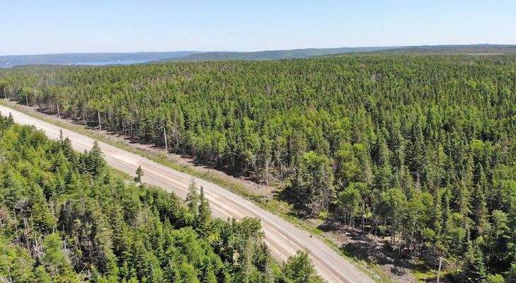 Cape Breton - Big Pond - East Bay Hills - Großzügi