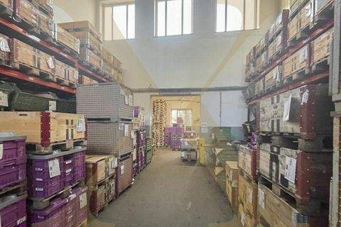 Asten Halle, Asten Hallenfläche