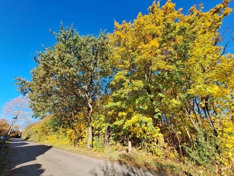 Rietz-Neuendorf / Pfaffendorf Grundstücke, Rietz-Neuendorf / Pfaffendorf Grundstück kaufen