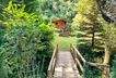 Brücke über den Bachlauf 