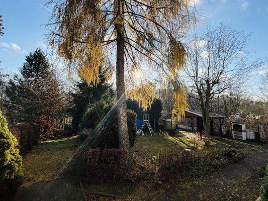 Garten mit Grillofen