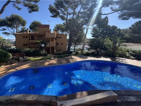 Calvia - Santa Ponsa Wohnungen, Calvia - Santa Ponsa Wohnung kaufen