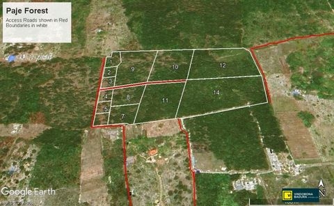 Paje Grundstücke, Paje Grundstück kaufen