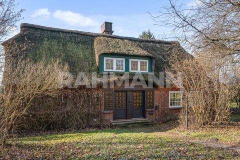 Oldendorf Häuser, Oldendorf Haus kaufen