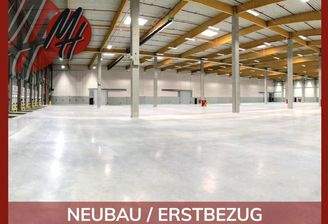 INFOS UNTER: 06171-586000