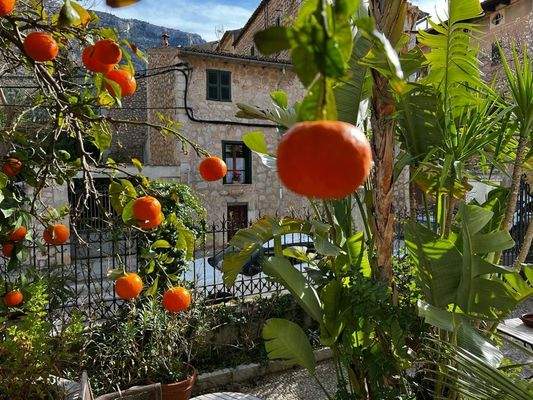 Stadtvilla – Außenansicht