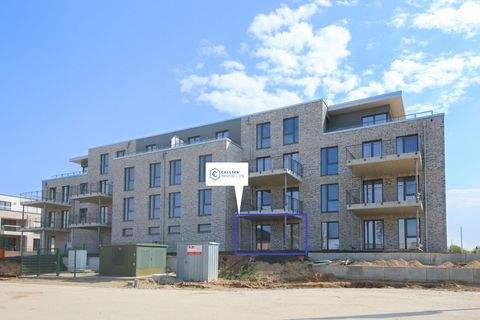 Kappeln Wohnungen, Kappeln Wohnung mieten