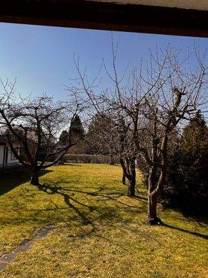 Blick in den Garten aus dem 1. Obergeschoss