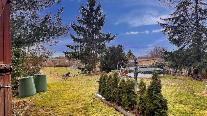 Bliuck in den Garten