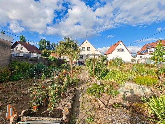 Garten mit Blick zum Haus