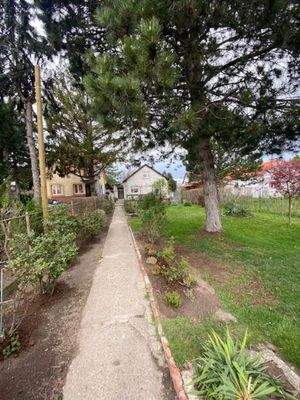 Garten-mit-Hausansicht-III