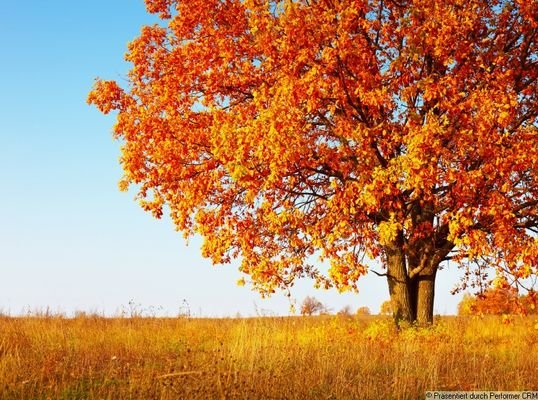 Wundrschöner Herbst