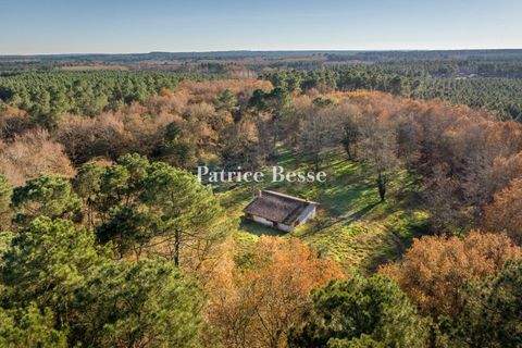 Bouglon Bauernhöfe, Landwirtschaft, Bouglon Forstwirtschaft