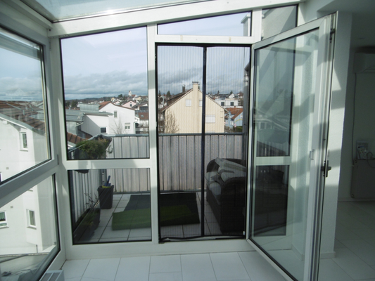 Süd-West Balkon Bild 1.1.png