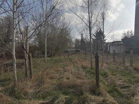 Märkische Heide Grundstücke, Märkische Heide Grundstück kaufen