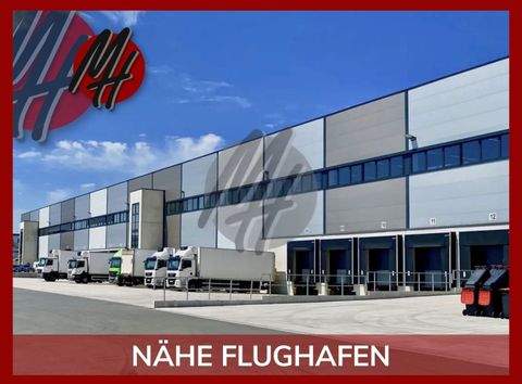 Kelsterbach Halle, Kelsterbach Hallenfläche