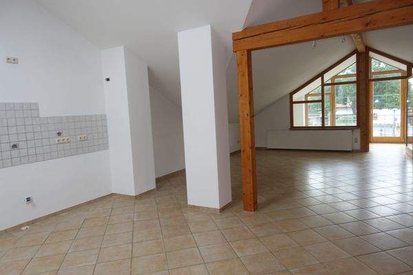 Wohn-Küchen-Bereich (3)