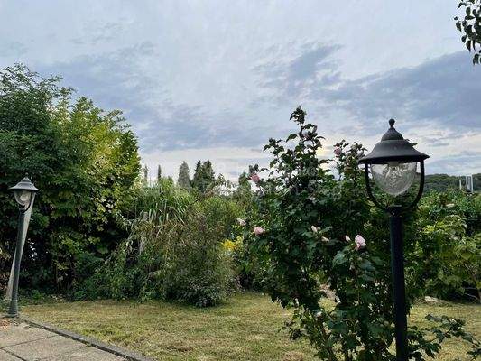 Gartenblick/ Terrasse 