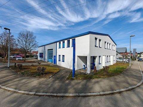 Reutlingen Halle, Reutlingen Hallenfläche