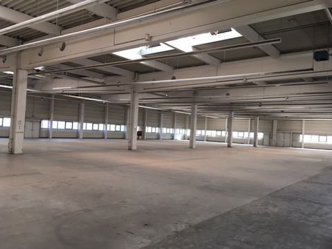 Regensburg Halle, Regensburg Hallenfläche