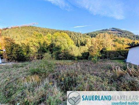 Willingen (Upland) Grundstücke, Willingen (Upland) Grundstück kaufen
