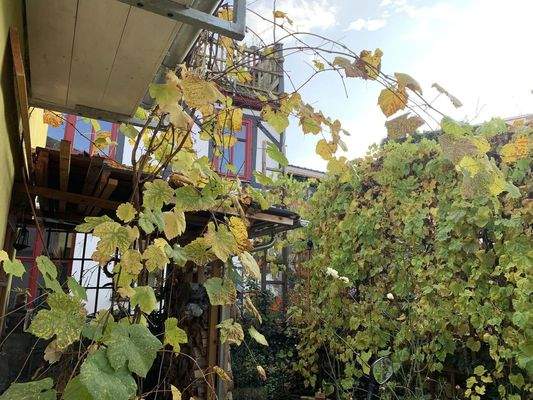 Blick aus Hintereingang