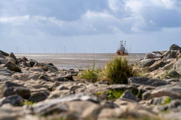 Krabbenkutter vor Dorum-Neufeld