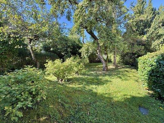 Garten hinter dem Haus