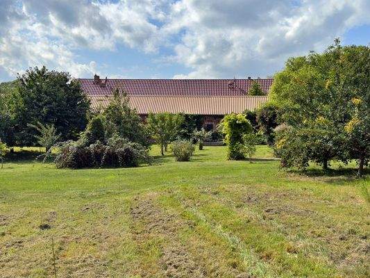 Garten hinter dem NG